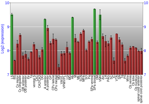 Multi-state expression graph
