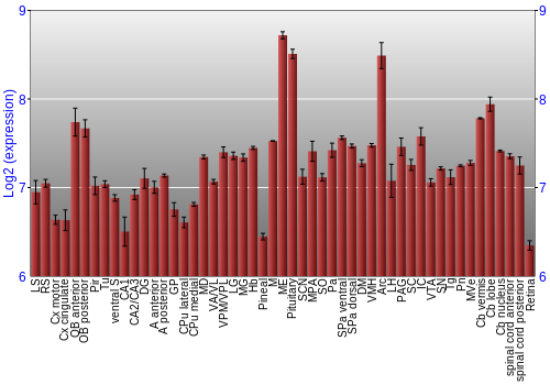 Expression graph