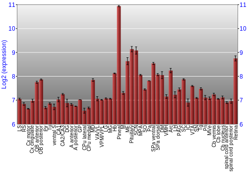 Expression graph