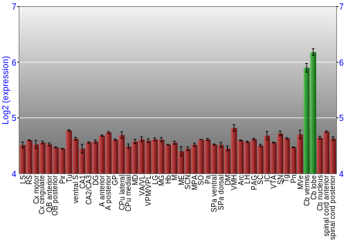 Multi-state expression graph