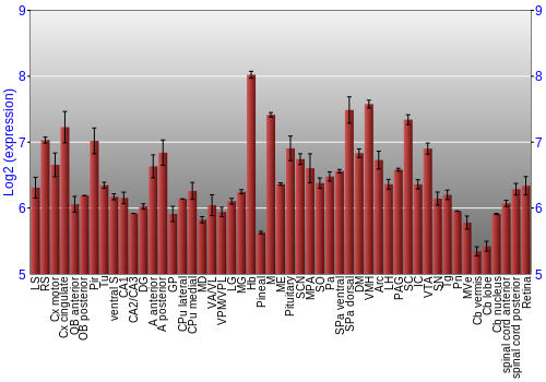 Expression graph