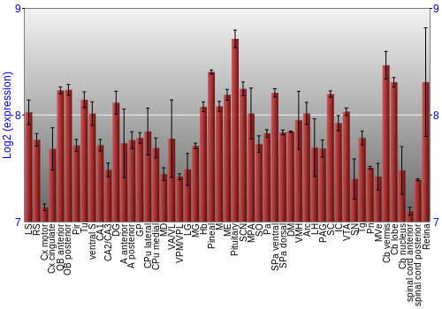 Expression graph