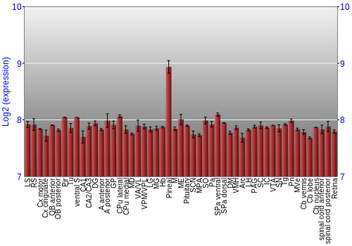 Expression graph