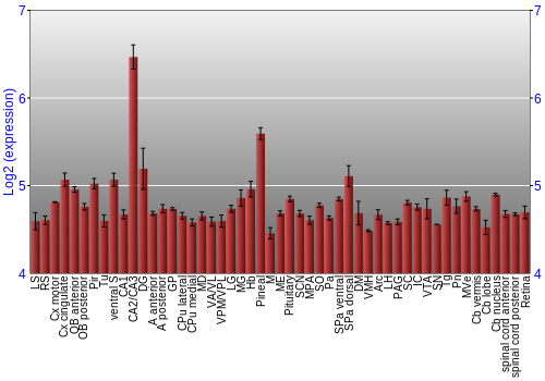 Expression graph