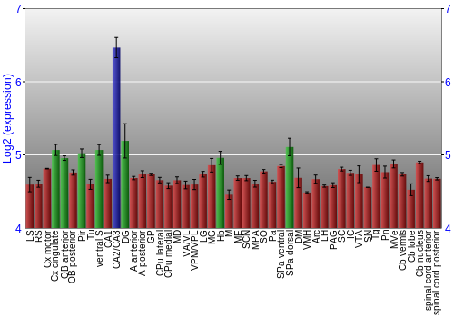 Multi-state expression graph