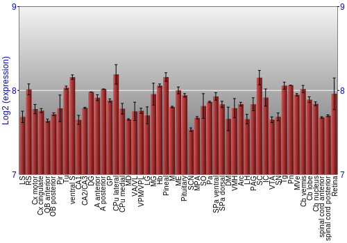 Expression graph