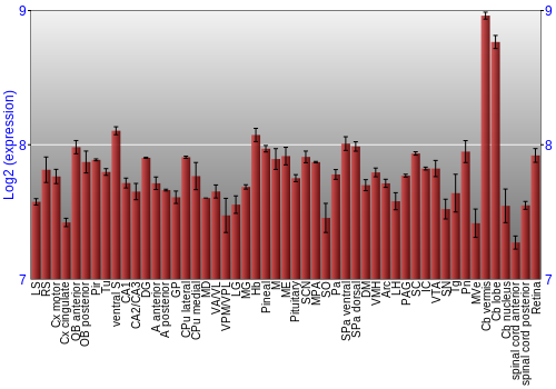 Expression graph