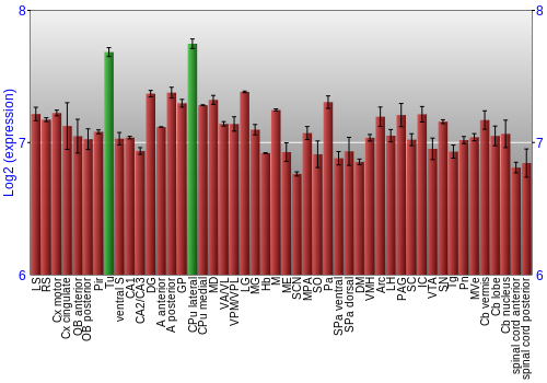 Multi-state expression graph