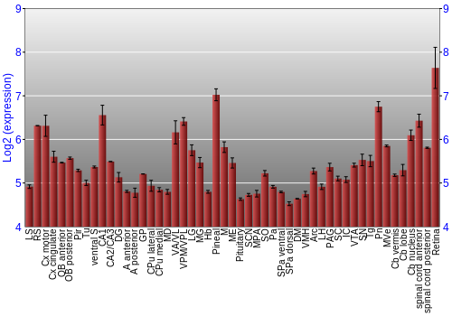 Expression graph