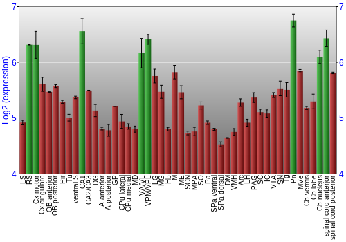 Multi-state expression graph