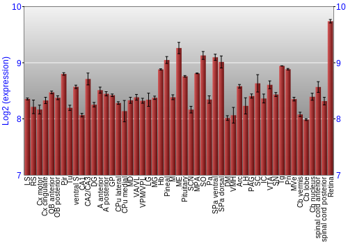 Expression graph