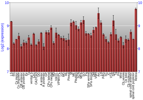 Expression graph