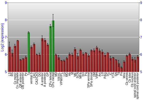 Multi-state expression graph