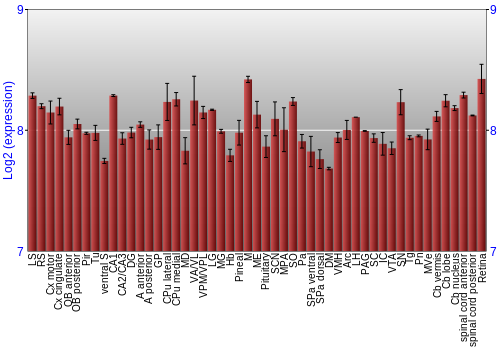 Expression graph