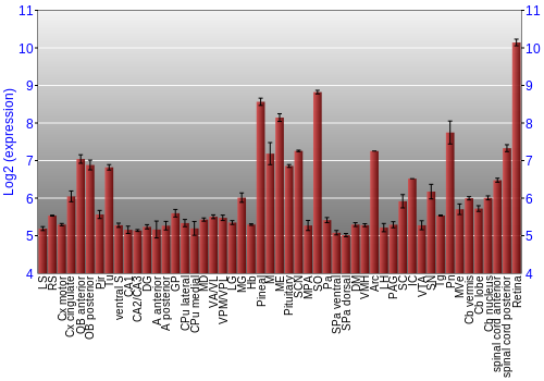 Expression graph