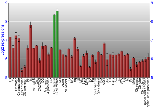 Multi-state expression graph