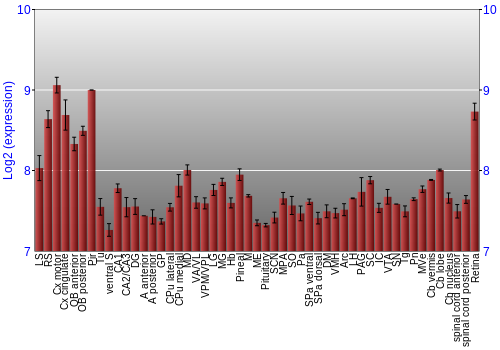 Expression graph