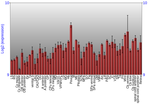 Expression graph