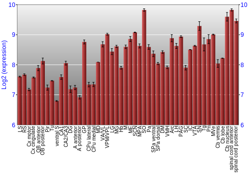 Multi-state expression graph