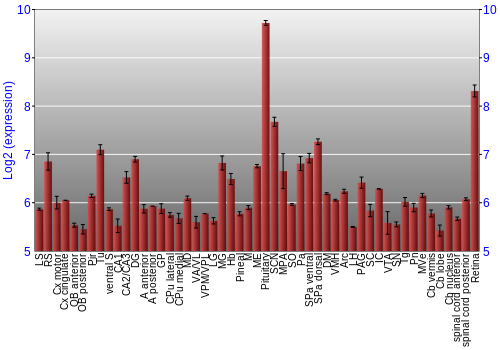 Expression graph