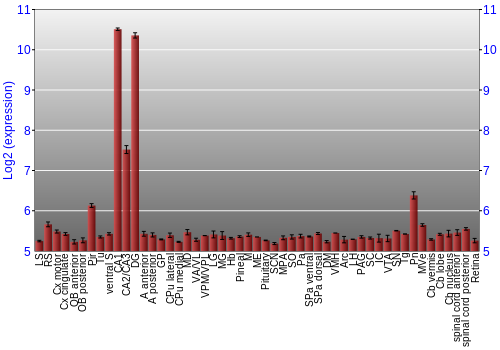 Expression graph