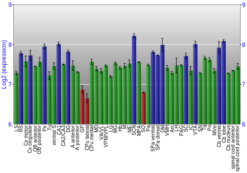 Multi-state expression graph
