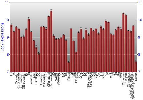 Expression graph