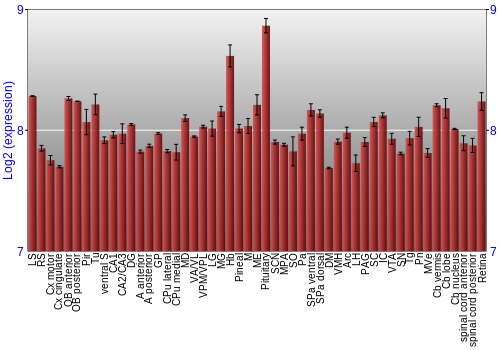 Expression graph