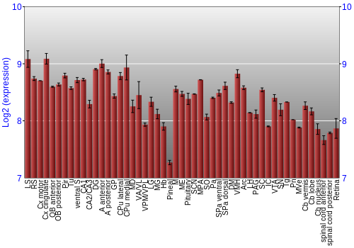 Expression graph