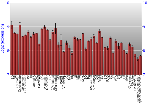 Multi-state expression graph
