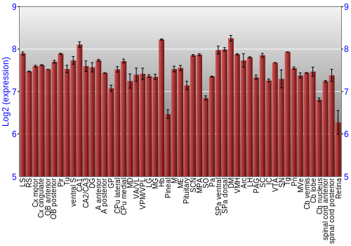 Expression graph