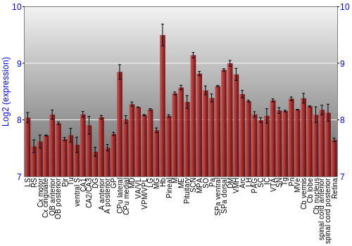 Expression graph