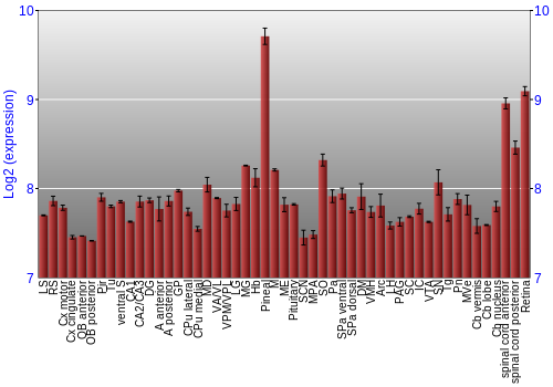 Expression graph
