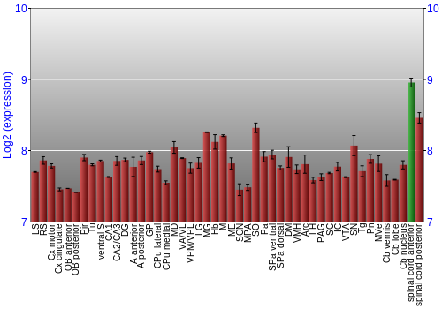 Multi-state expression graph