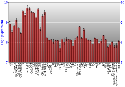 Expression graph