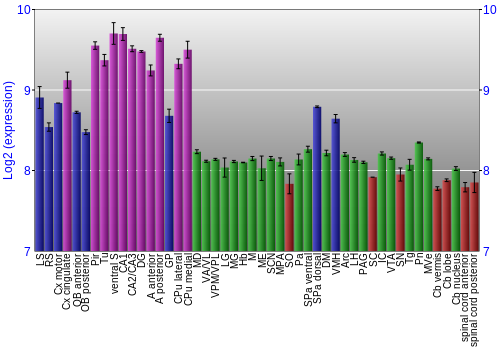 Multi-state expression graph