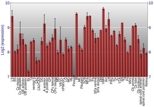 Expression graph