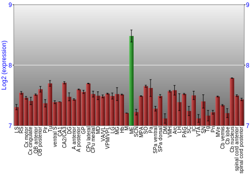 Multi-state expression graph