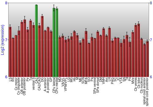 Multi-state expression graph