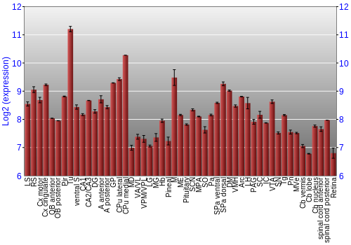Expression graph