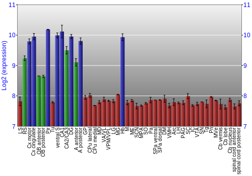 Multi-state expression graph
