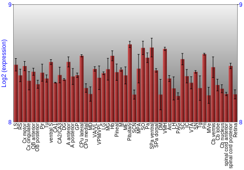 Expression graph