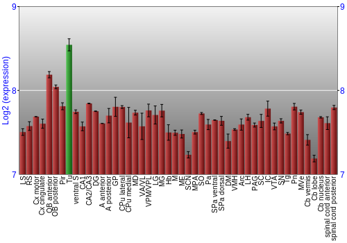 Multi-state expression graph