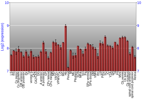 Expression graph