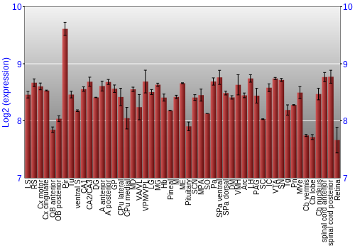 Expression graph