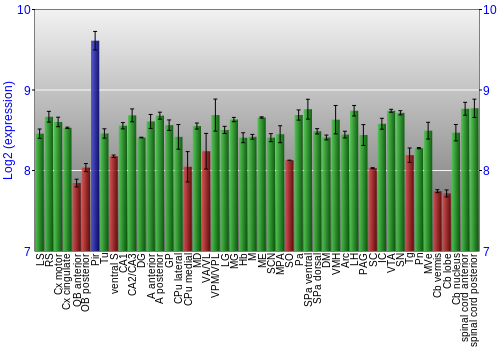 Multi-state expression graph