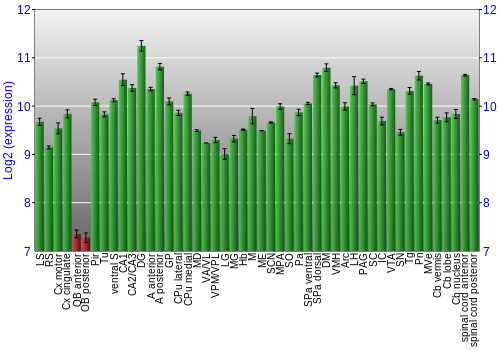 Multi-state expression graph