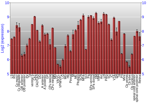 Expression graph