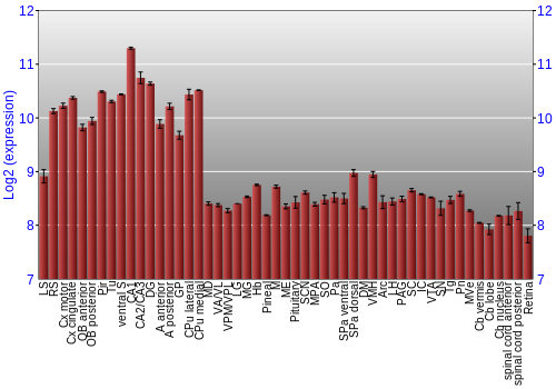 Expression graph