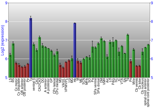 Multi-state expression graph